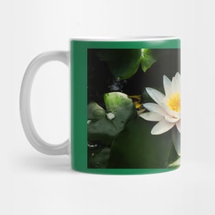 Water lily Mug